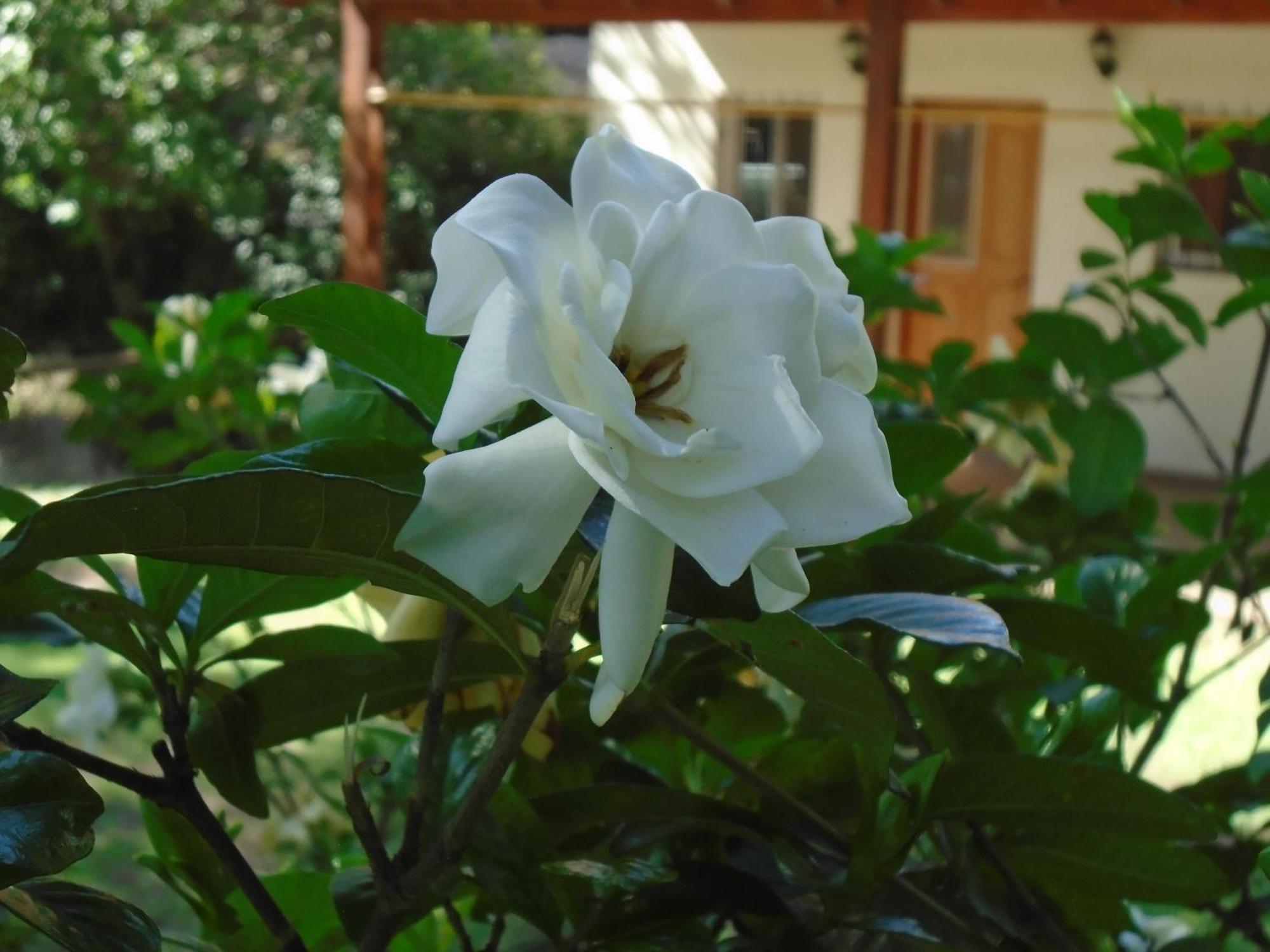 Hotel De Los Cesares Merlo 外观 照片